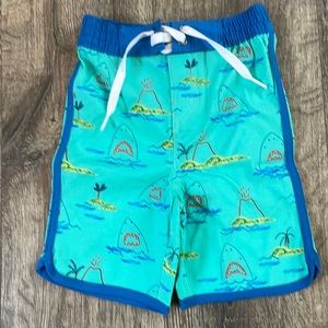 Hannah Anderson board shorts swim trunks size 2T